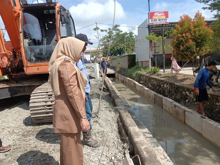 Tiga Titik Akan Jadi Prioritas Pembangunan Drainase