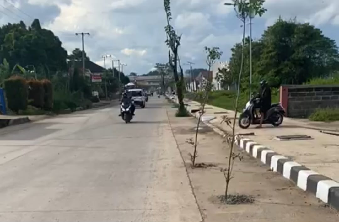 Pertahankan Adipura, Pohon di Bahu Jalan Tetap Dipertahankan